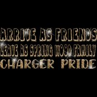 GLT97 GOLD GLITTER Thumbnail