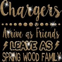 GLT87 GOLD GLITTER Thumbnail